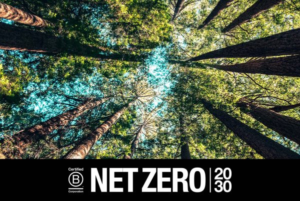 Net Zero 2030 - Aquatro Cultura de Impacto