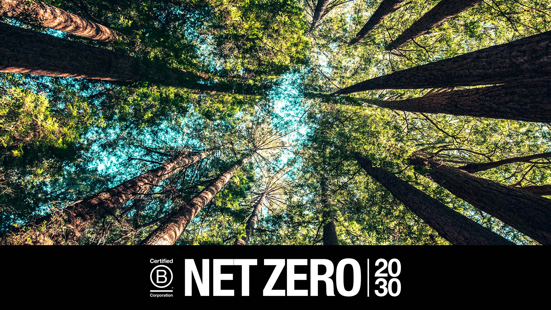 NET ZERO 2030 – Tomamos Ação na Crise Climática