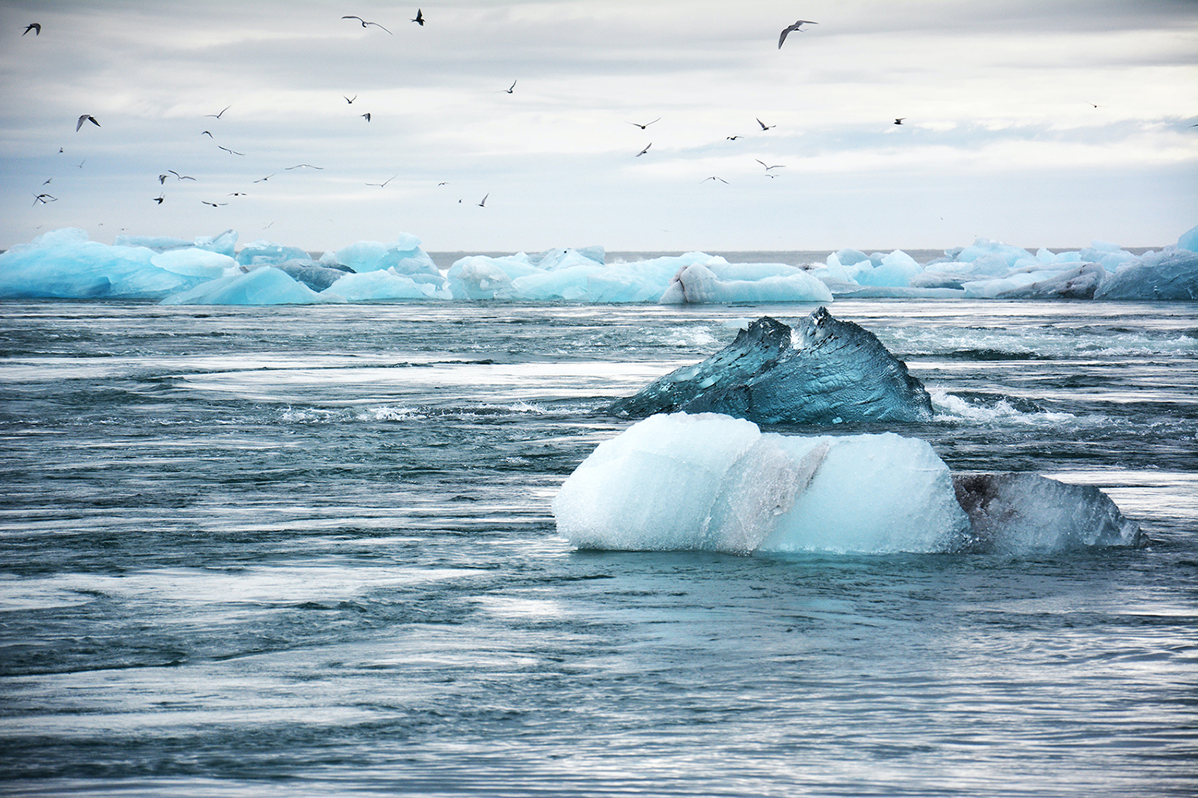 Uma forma melhor de falar sobre a crise climática